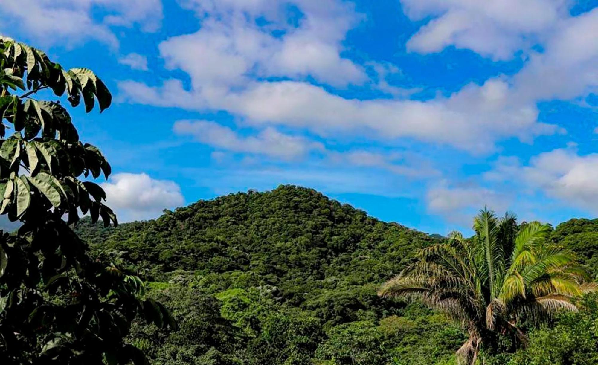 Hostal Mirador Dentro Del Parque Tayrona El Zaino Exterior foto
