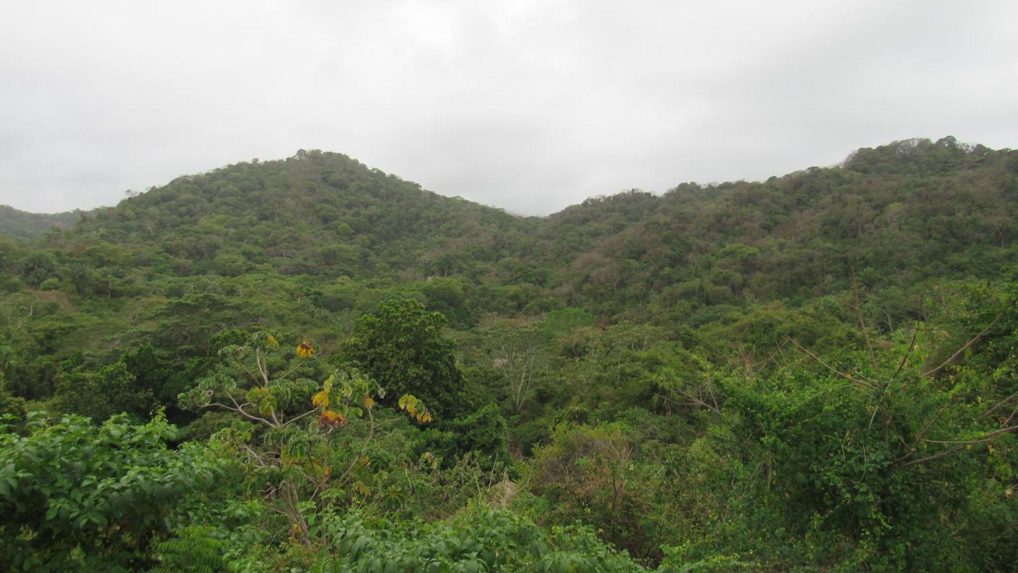 Hostal Mirador Dentro Del Parque Tayrona El Zaino Exterior foto